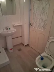 Metrou Tineretului-Metrou Timpuri Noi 9 camere-curte 
