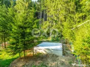 Casa de vacanta in Azuga cu vedere la munte | Langa padure 