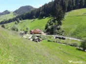 Teren si casa de vanzare in Moieciu de Sus, Brașov – tere 