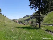 Teren si casa de vanzare in Moieciu de Sus, Brașov – tere 