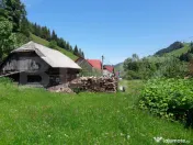 Teren si casa de vanzare in Moieciu de Sus, Brașov – tere 