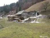 Teren si casa de vanzare in Moieciu de Sus, Brașov – tere 