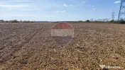 Teren 3187 mp intravilan de vânzare Oradea Nufarul zona Petru Maior 