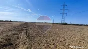 Teren 3187 mp intravilan de vânzare Oradea Nufarul zona Petru Maior 