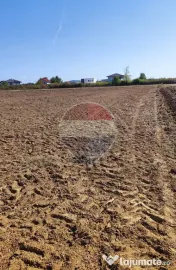 Teren 3187 mp intravilan de vânzare Oradea Nufarul zona Petru Maior 