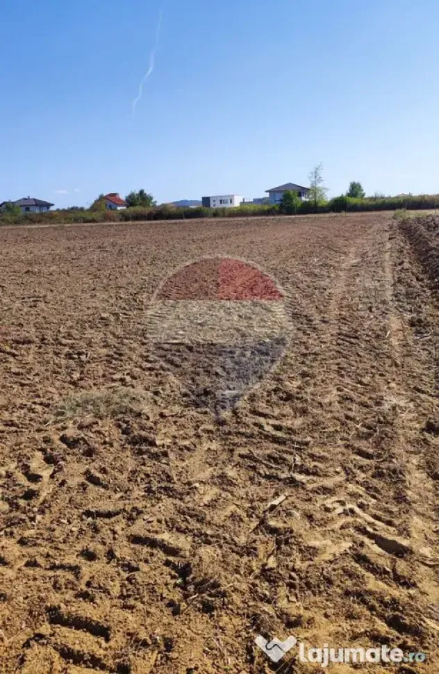 Teren 3187 mp intravilan de vânzare Oradea Nufarul zona Petru Maior - Oradea (Bihor)