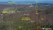 Teren intravilan, 56000 mp, Poiana Braşov