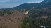 Teren intravilan, 56000 mp, Poiana Braşov 