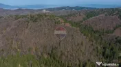 Teren intravilan, 56000 mp, Poiana Braşov 