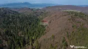 Teren intravilan, 56000 mp, Poiana Braşov 