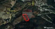 Teren intravilan, 56000 mp, Poiana Braşov 