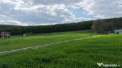 Teren INTRAVILAN cu PUZ, 2.200 eur/ar, rezidental, str. Raz 