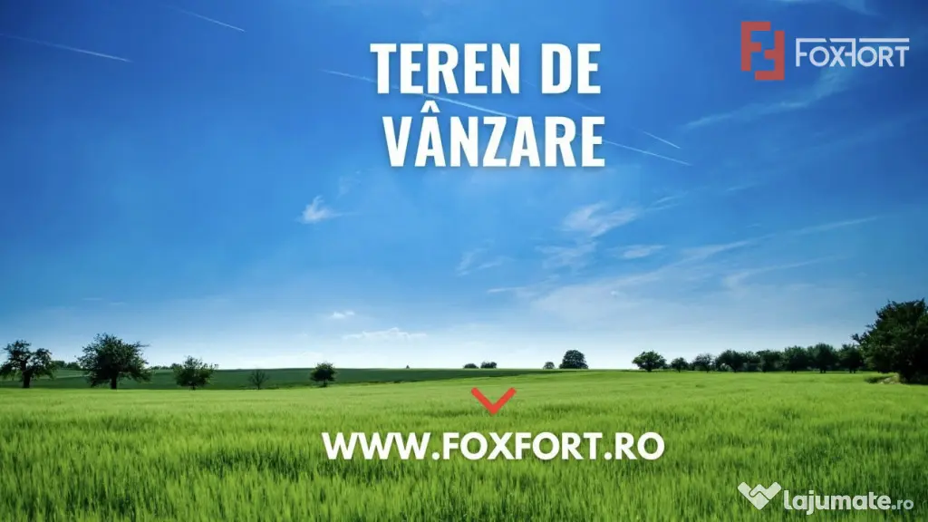 OPORTUNITATE - Teren extravilan - padure, 20.720 mp in Cinci - Teliucu Inferior (Hunedoara)