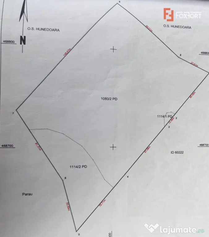 OPORTUNITATE - Teren extravilan - padure, 20.720 mp in Cinci - Teliucu Inferior (Hunedoara)