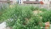 Comision 0% Duplex de vAnzare 4 camere cu toate utilitatile 