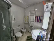 Casa Individuala cu functiune mixta (locuinta + afacere) - B 