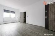 Apartament cu o camera si bucatarie open space, zona Freidor 