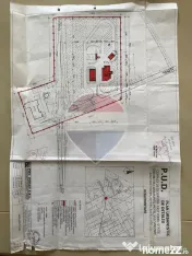 Teren cu potențial investițional – 31.400 mp – DN7, județul Arad 