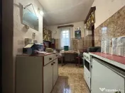 PROPRIETATE DEOSEBITĂ ÎN COPLEAN – 342 MP CASĂ + 1,68 H 