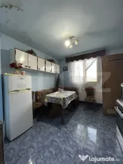 PROPRIETATE DEOSEBITĂ ÎN COPLEAN – 342 MP CASĂ + 1,68 H 