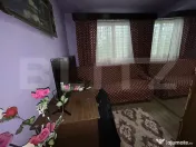 PROPRIETATE DEOSEBITĂ ÎN COPLEAN – 342 MP CASĂ + 1,68 H 