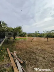 Teren intravilan 1.693 mp | Geamana | Oportunitate investiti