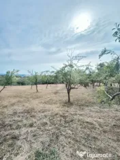 Teren intravilan 1.693 mp | Geamana | Oportunitate investiti