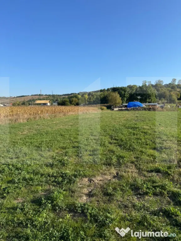 Teren extravilan 965 mp, Manolești, Botoșani - Manolesti (Botosani)