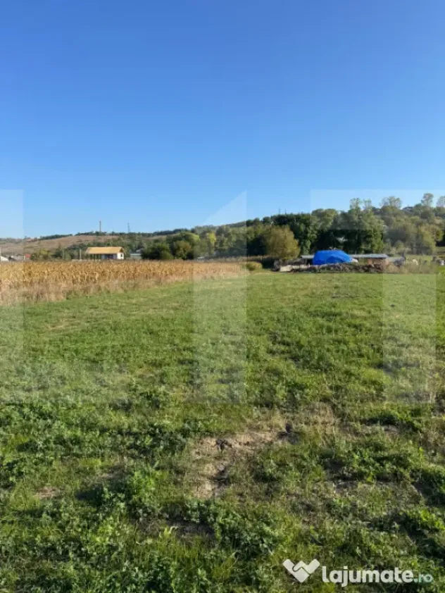 Teren extravilan 965 mp, Manolești, Botoșani - Manolesti (Botosani)