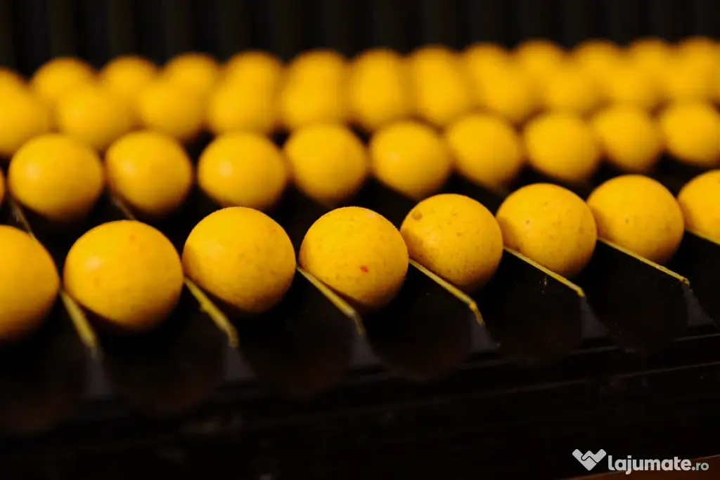 Pop Up Forgotten Flavours Cassien Classics, 15mm