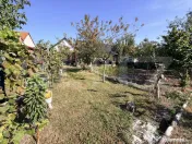 Casa 4 camere,curte si gradina 700 mp,Sebes 