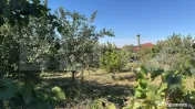 Casa + Teren IC BRATIANU 