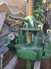 Teasc / Presa struguri 150 l 