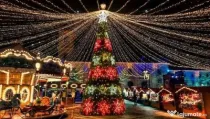 Brazi luminoși metalici profesionali decorati 8 m  10 m,iluminat festiv Crăciun