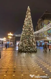 Brazi luminoși metalici profesionali decorati 8 m  10 m,iluminat festiv Crăciun 