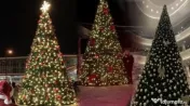 Brazi luminoși metalici profesionali decorati 8 m  10 m,iluminat festiv Crăciun 