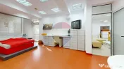 Sp comercial generos si versatil, cu destinatie medicala si comerciala 