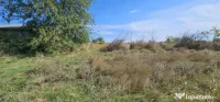 Teren intravilan 1.666 mp – Smârdan – Zonă în dezvoltare, 20 euro/mp
