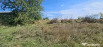 Teren intravilan 1.666 mp – Smârdan – Zonă în dezvoltare, 20 euro/mp