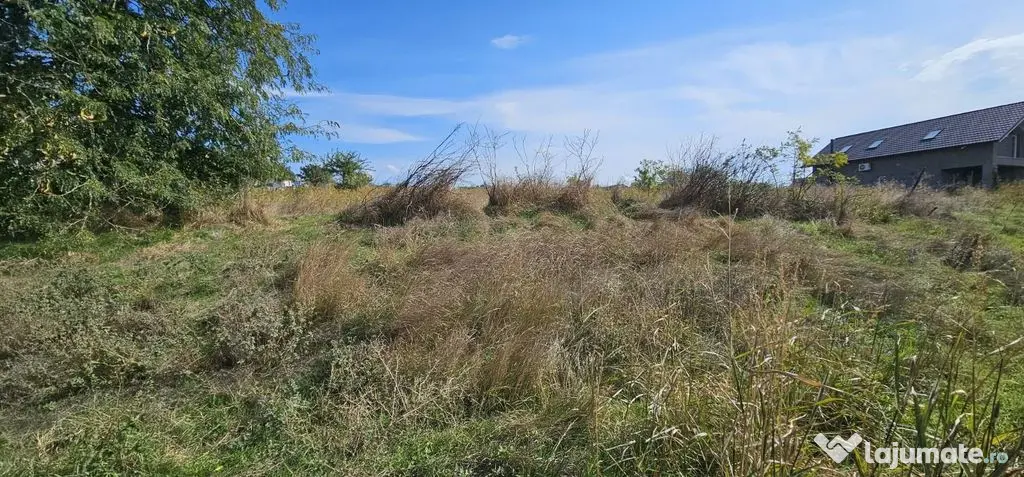 Teren intravilan 1.666 mp – Smârdan – Zonă în dezvoltare, 20 euro/mp - Smardan (Galati)