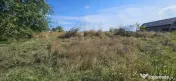 Teren intravilan 1.666 mp – Smârdan – Zonă în dezvoltare, 20 euro/mp