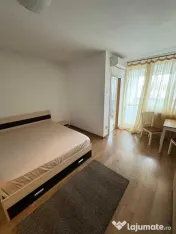 Iancului elev stefanescu etaj 4