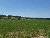 Ganeasa Teren intravilan 