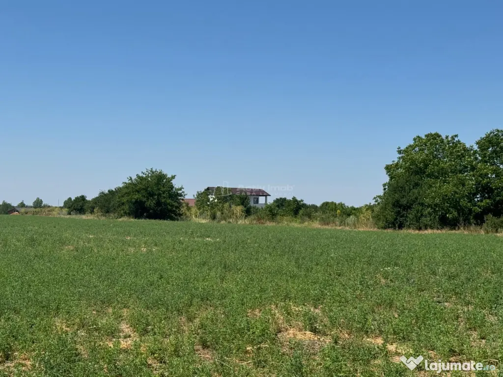 Ganeasa Teren intravilan - Ganeasa (Bucuresti-Ilfov)