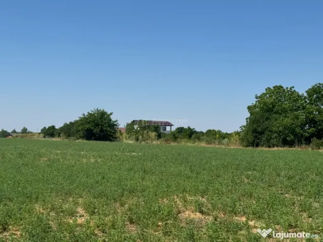 Ganeasa Teren intravilan - Ganeasa (Bucuresti-Ilfov)