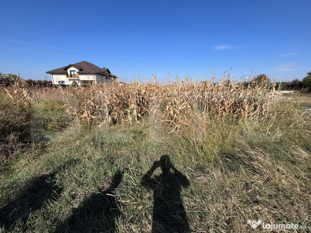 Teren de vânzare, 2477 mp, zona Sud - Ungureni (Dragomiresti) (Dambovita)