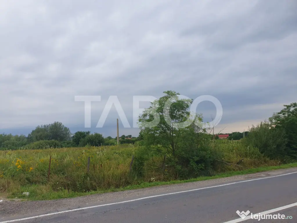 Teren intravilan 5040 mp in Sercaia acces DN1 168 m - Sercaia (Brasov)
