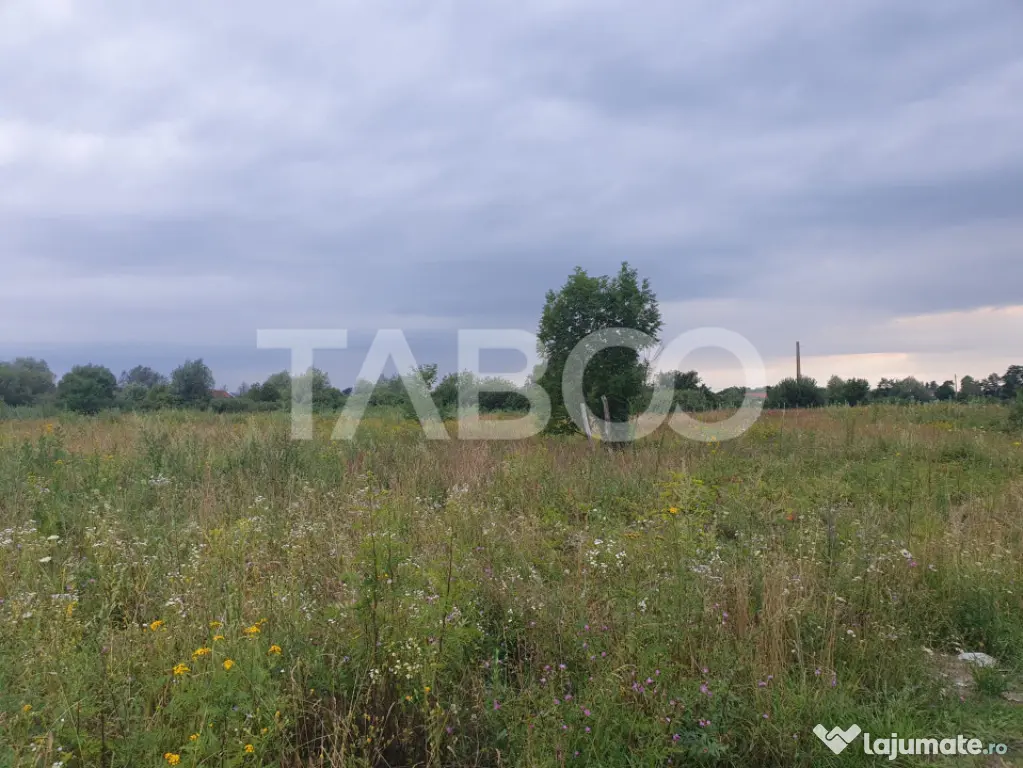 Teren intravilan 5040 mp in Sercaia acces DN1 168 m - Sercaia (Brasov)