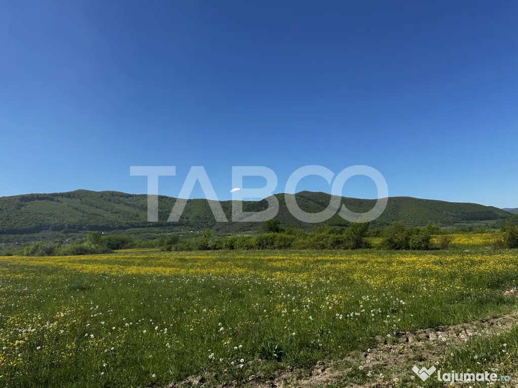 Teren intravilan cu vedere la munti pretabil cabana Poplaca - Poplaca (Sibiu)