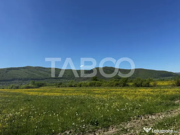Teren intravilan cu vedere la munti pretabil cabana Poplaca - Poplaca (Sibiu)